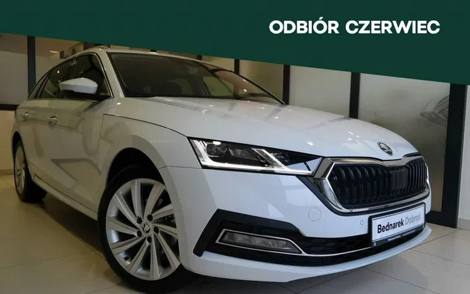 samochody osobowe Skoda Octavia cena 155999 przebieg: 5, rok produkcji 2024 z Wysoka